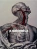 5 Best Anatomy Art Books For Beginners - Smashing Pencils