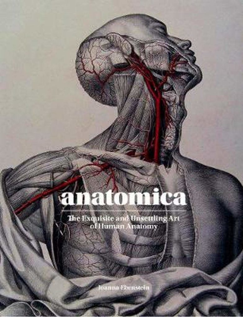 art books for anatomy