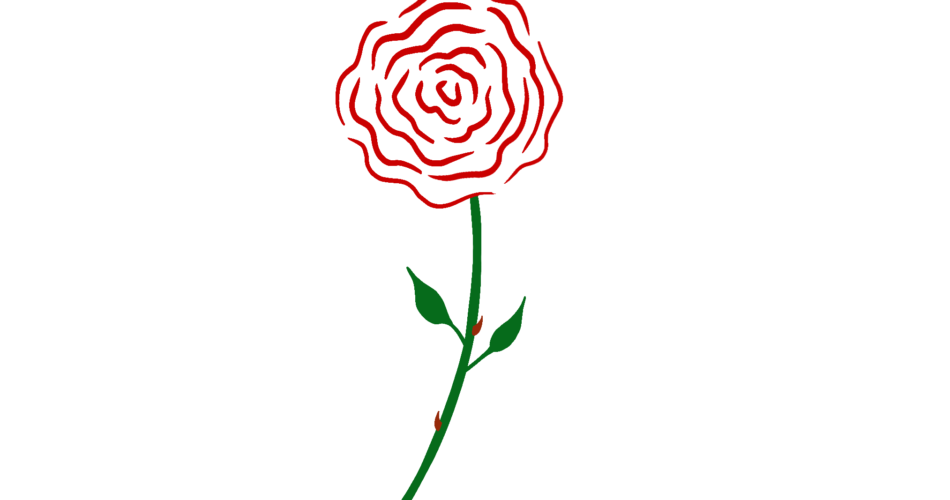 how to draw an easy rose beginners 2021 artists