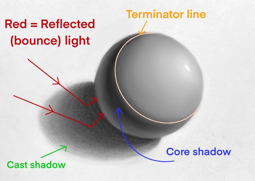 core shadow vs cast shadow parts of a shaded sphere bounce light reflected light